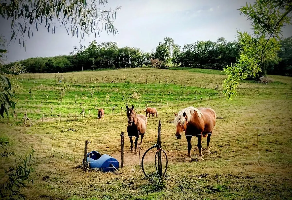 Le Champ Des Grenouilles - Gite Ecologique A La Ferme Montjoie-en-Couserans